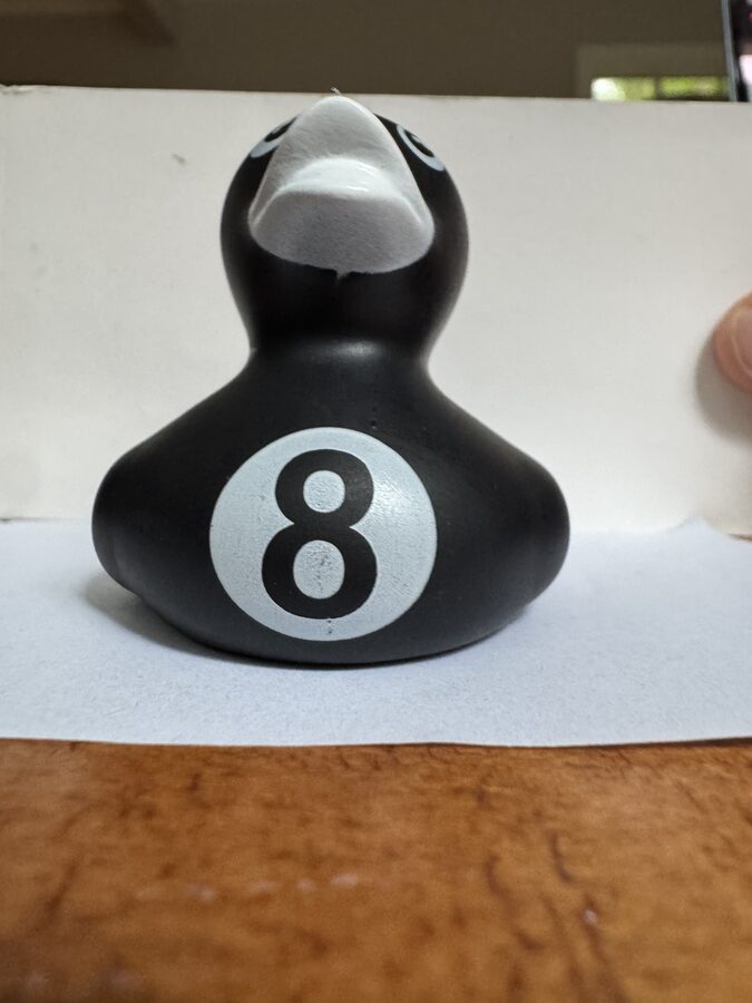 The duck from the front