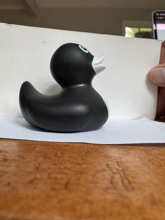 A black rubber duck photographed from the side